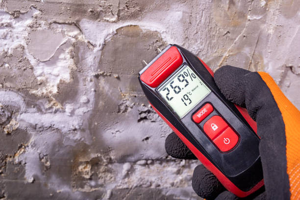Home Mold Removal in Cerritos, CA